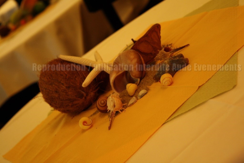 Animation DJ et décoration de Luxe pour mariage à Narbonne Carcassonne Beziers Perpignan Montpellier Occitanie