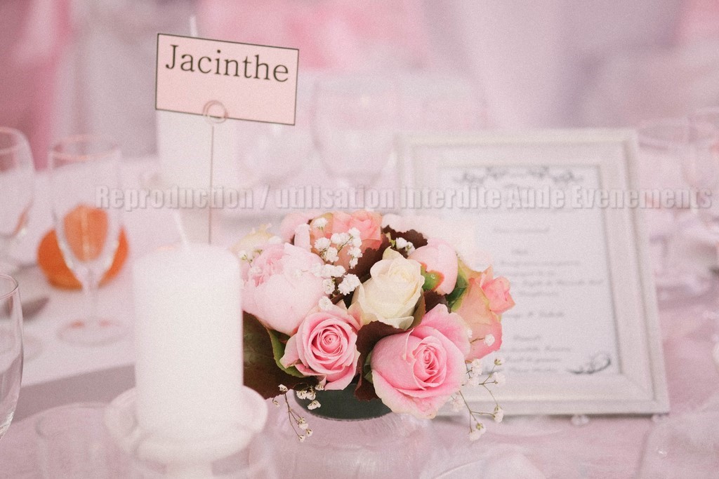 Animation DJ et décoration de Luxe pour mariage à Narbonne Carcassonne Beziers Perpignan Montpellier Occitanie