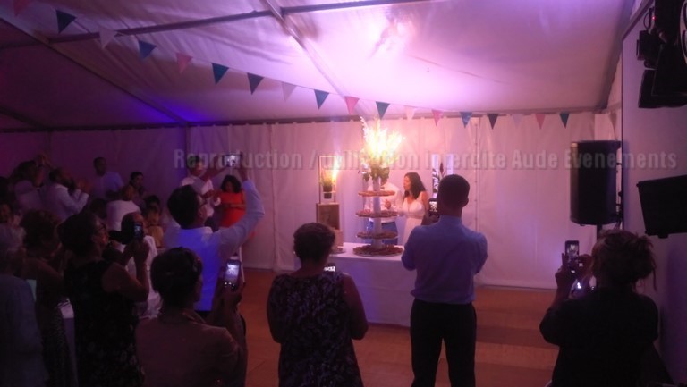 Animation DJ de Luxe pour mariage à Narbonne Carcassonne Beziers Perpignan Montpellier Occitanie